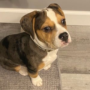 Meet your Posher, Andrea